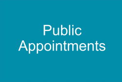 public appointments web2