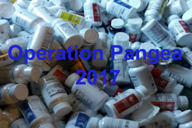 Operation Pangea 2017